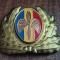 QW14 - Emblema militara / cuc - aviatie - anii 1990 - piesa de colectie