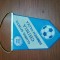 FANION CLUB SPORTIV CHIMIA RAMNICUL VALCEA