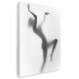 Tablou nud femeie siluetă difuză dansatoare, alb, negru 1209 Tablou canvas pe panza CU RAMA 60x90 cm