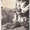 bnk cp Sinaia - Muzeul Peles - circulata