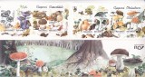 ROMANIA 1994 LP1349 a CIUPERCI COMESTIBILE SI OTRAVITOARE BLOCURI IN CARNET MNH., Flora, Nestampilat