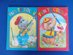 CARTI DE COLORAT : FUN TO COLOUR ( 2 VOL. ) , LAYOUT FLORENTINA PREDA , 1983 foto