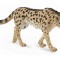 Figurina ghepard king l collecta