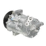 Compresor climatizare Cadillac Bls, Bls Wagon; Fiat Croma (194); Opel Signum, Vectra B Combi (31), Vectra B Hatchback (38), Vectra C; Saab 9-3 (Ys3f)