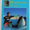 MARINELAND ANTIBES by CHARLES W. SCOTT , 1995