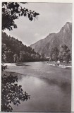 Bnk cp Oltul la Gura Lotrului - Vedere - uzata, Circulata, Printata, Valcea