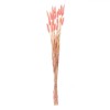 Ramuri Decorative, Model Bunny Tails, Set 25 Bucăți, Culoare Roz, &Icirc;nălțime 60cm, Oem