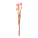 Ramuri Decorative, Model Bunny Tails, Set 25 Bucăți, Culoare Roz, &Icirc;nălțime 60cm, Oem