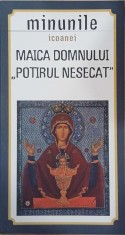 Minunile Icoanei. Maica Domnului &quot;Potirul nesecat&quot;