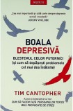 Boala depresiva - Editura Litera