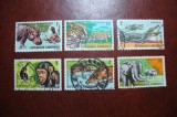 GABON FAUNA