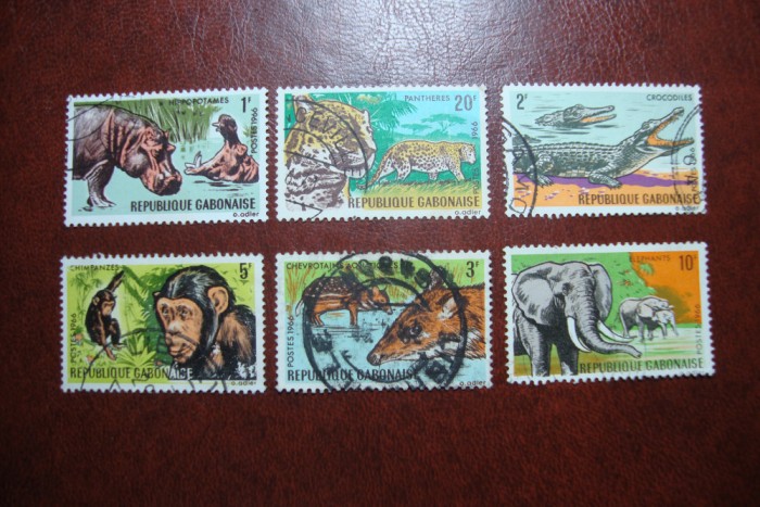 GABON FAUNA