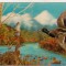 bnk cp Carte postala 3D - rate salbatice - Wonder Co SSP-A-39
