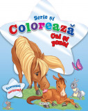 Scrie si coloreaza cai si ponei - blue PlayLearn Toys, Girasol