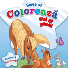 Scrie si coloreaza cai si ponei - blue PlayLearn Toys