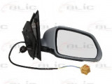 Oglinda exterioara VW POLO (9N) (2001 - 2012) BLIC 5402-04-1119111P