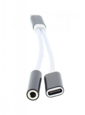 Adaptor USB Type C tata - jack 3.5 mm mama si USB Type C mama 13cm Well foto