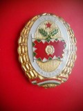HOPCT INSIGNA UNGARIA MILITARA H 2 -KIVALO HALGATO /SPECIALIST ACADEMIE D=40 MM