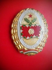 HOPCT INSIGNA UNGARIA MILITARA H 2 -KIVALO HALGATO /SPECIALIST ACADEMIE D=40 MM