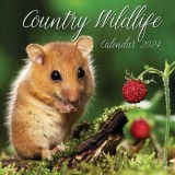 Country Wildlife - 2024 Square Wall Calendar