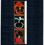 Ajman 1972 - Flori, violete, serie neuzata