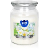 BISPOL Premium Line Jasmine lum&acirc;nare parfumată 500 g