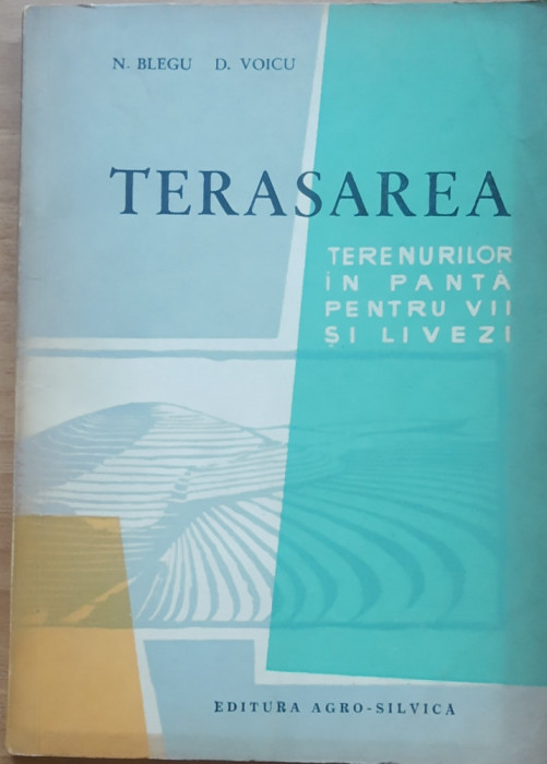 N. BLEGU - TERASAREA TERENURILOR IN PANTA PENTRU VII SI LIVEZI, 1963