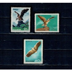 DPR Korea 1967 - Păsări de prada, serie neștampilata