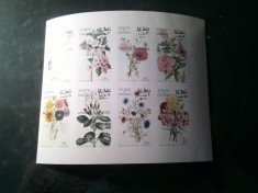 Bloc Oman 1973 - Flora , supratipar ONU 1973 , 8 val. nedantelat