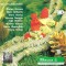 CD Vin Colindătorii, original