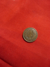 Moneda 1 filler 1894 Ungaria , bronz , cal. aproape NC foto