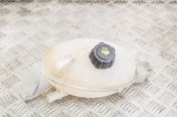 Vas de expansiune RENAULT MASTER III Furgon FV 2016 OEM: 217100015R 11309494