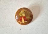 * Broșă vintage lemn 4cm &ndash; Țărăncuță &icirc;n costum popular, marcată manual Roumanie I.G.