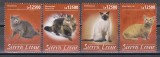 Sierra Leone 2020 - Pisici, MNH