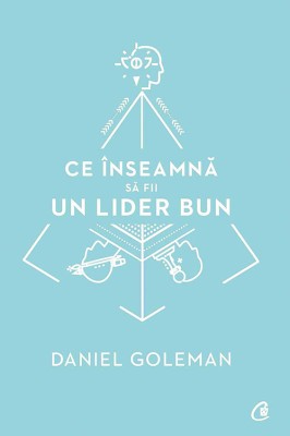 Ce Inseamna Sa Fii Un Lider Bun, Daniel Goleman - Editura Curtea Veche foto