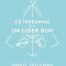Ce Inseamna Sa Fii Un Lider Bun, Daniel Goleman - Editura Curtea Veche