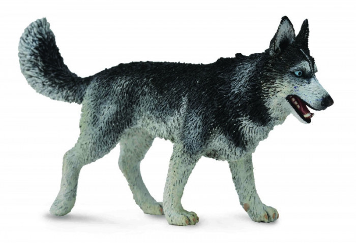 Figurina Caine Husky Siberian L Collecta