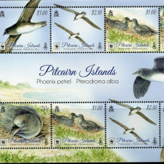 WWF PITCAIRM ISLANDS 2016-pasari-Bloc de 2 serii cu 4 timbre nestampilate MNH