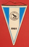Fanion fotbal - CORVINUL HUNEDOARA