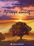 Cumpara ieftin Aproape amurg/Mihai Istudor