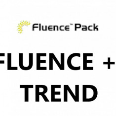 Pachet Fluence (Fluence 0.15 kg +Trend 1.25 l)
