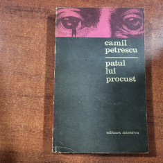 Patul lui Procust de Camil Petrescu