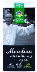 MERIDIAN INTESTIN GROS 60CPS foto