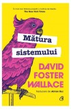 Mătura sistemului - Hardcover - David Foster Wallace - Curtea Veche