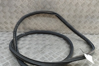 Garnitura ușă dreapta față BMW X5 G05 2022 OEM: 7428678 | 31256569 foto