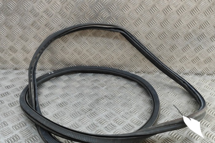 Garnitura ușă dreapta față BMW X5 G05 2022 OEM: 7428678 | 31256569