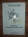 O palma zen imbratisata in vibratia lui Christ- Alexandru Iacob Arbore, Ion Romanul