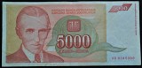 Bancnota 5000 DINARI / DINARA - YUGOSLAVIA, anul 1993 * cod 241