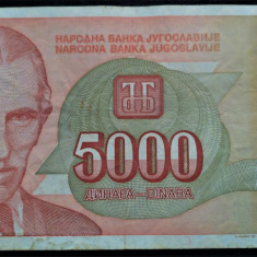 Bancnota 5000 DINARI / DINARA - YUGOSLAVIA, anul 1993 * cod 241