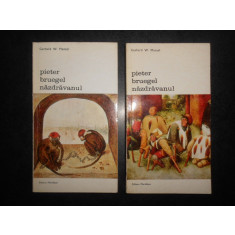 Gerhard W. Menzel - Pieter Bruegel nazdravanul 2 volume